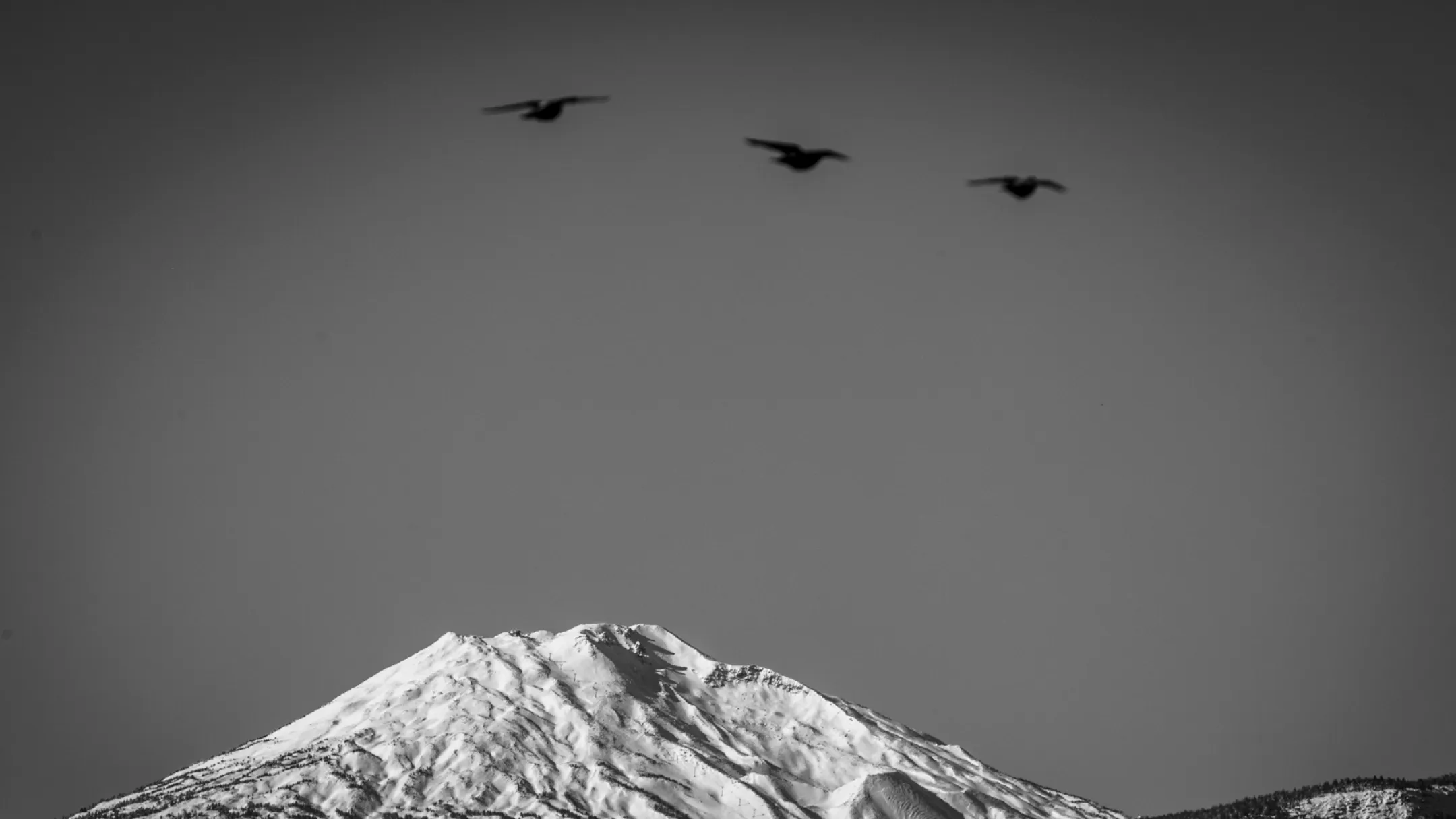 Three birds flying over a snow-capped mountain a sight from Baldhead Cabinets